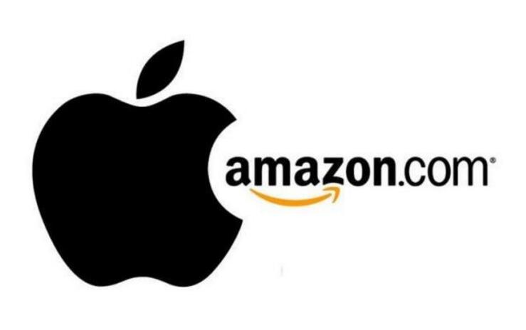 亞馬遜、蘋果等巨頭能改變醫(yī)療行業(yè)的游戲規(guī)則嗎？