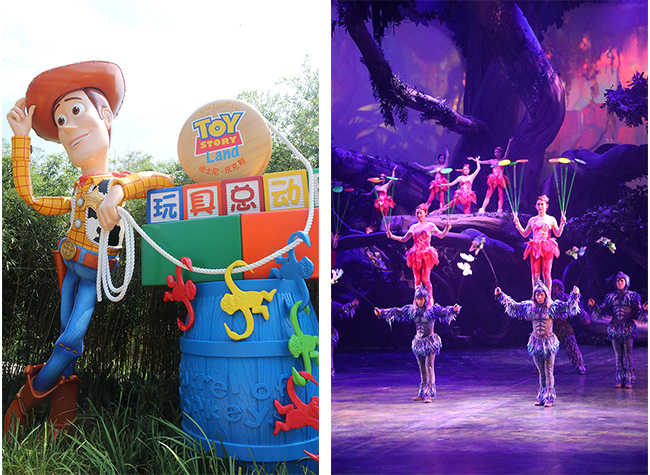 大為醫療公司福利上海迪士尼