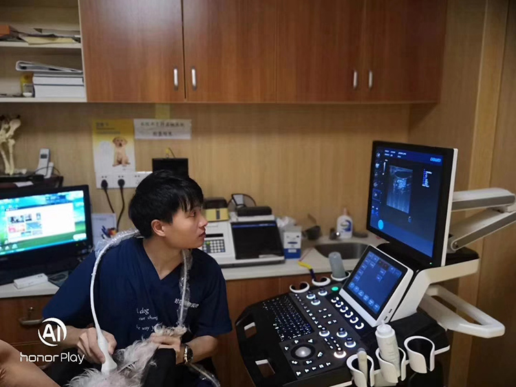 寵物醫(yī)院B超機(jī)現(xiàn)場檢測圖